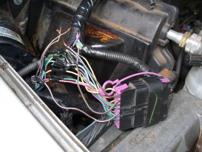2001 Chevy S-10 Wiring Harness?: My 2001 S10 Vortec V6 Wouldnt