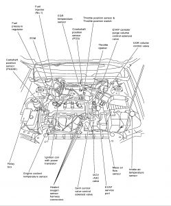 https://www.2carpros.com/forum/automotive_pictures/12900_ckp_2.jpg