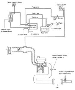 vacuum diagrams toyota corolla #6