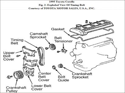 when to change timing belt on toyota corolla #4 when to change timing belt on toyota corolla #4