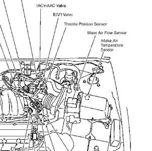 1996 Nissan maxima diagram engine #10