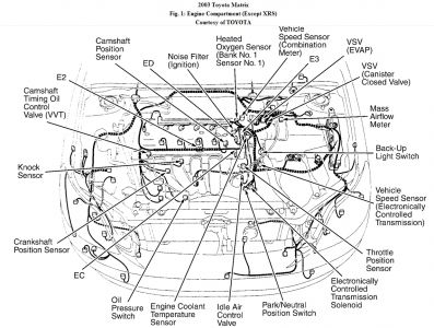 2003 toyota matrix wire diagram #5