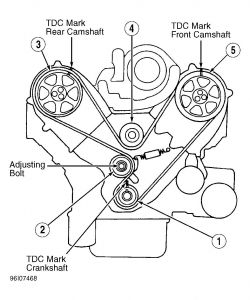 Honda accord 1995 timing belt replacement #3