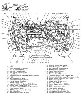Diagram of 97 ford escort engine #8