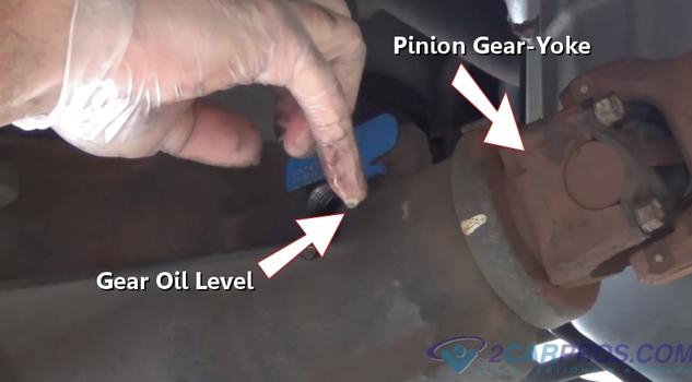 gear oil level pinion yoke