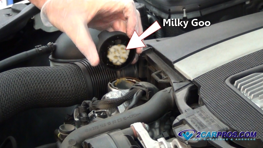 Can a blown head gasket lead to a car not wanting to start?