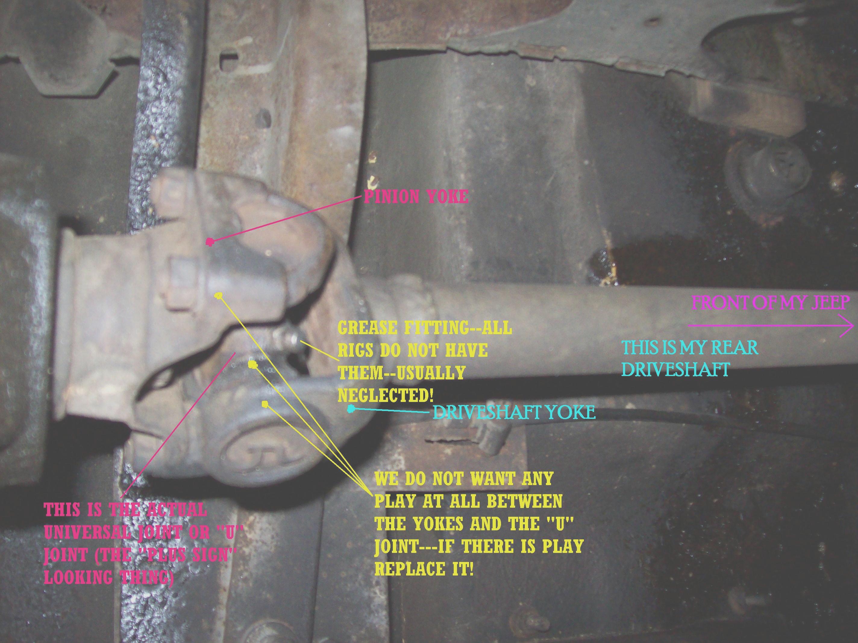 Noise at the Rear Differential When I Drive the Vehicle It Makes