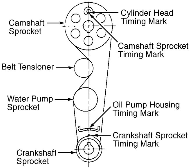 After Installing Timing Belt, Do I Tighten the Tensioner or Leave