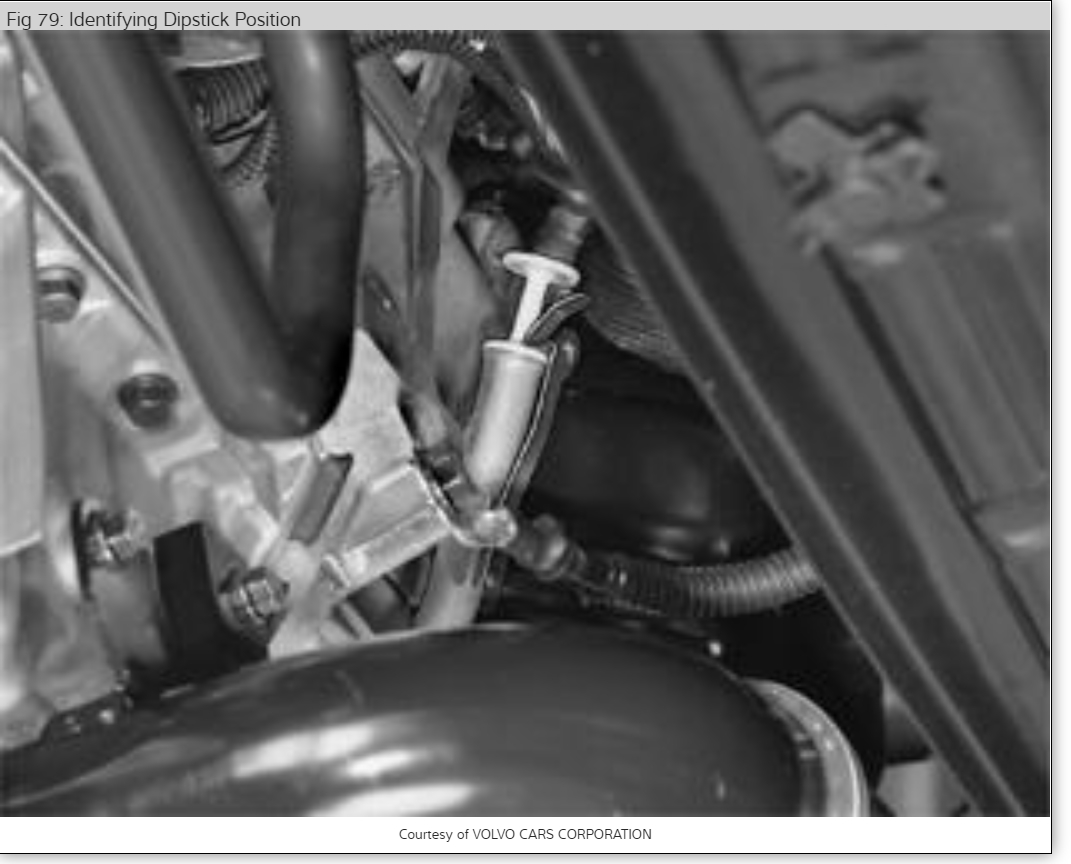 Transmission Fluid How to Check and Add Transmission Fluid to My