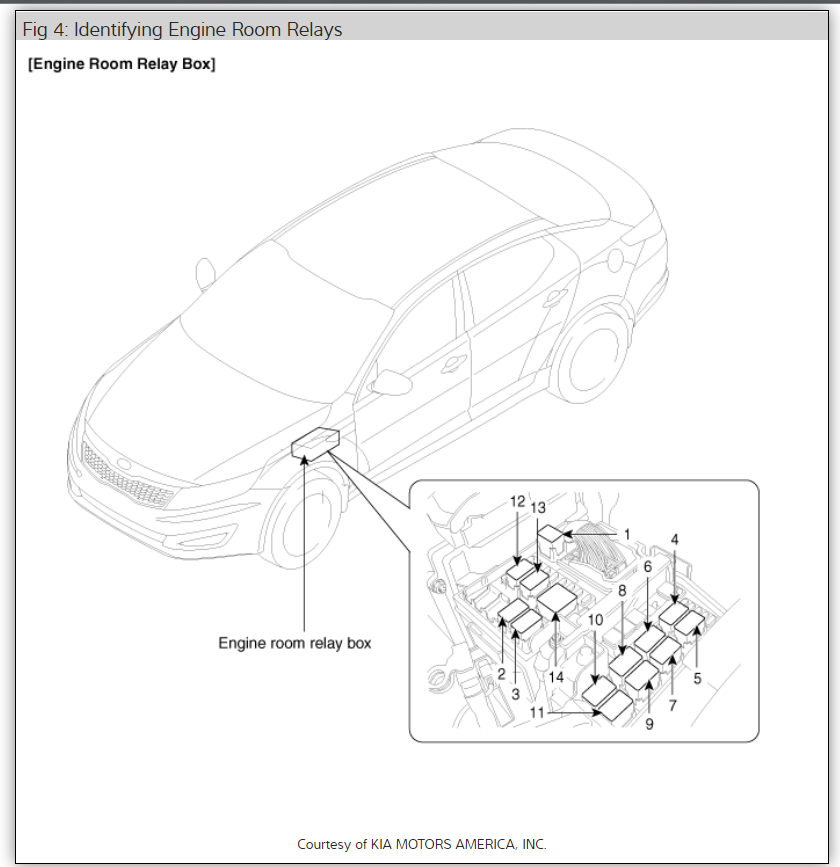 Brake Lights Not Working with New Bulbs