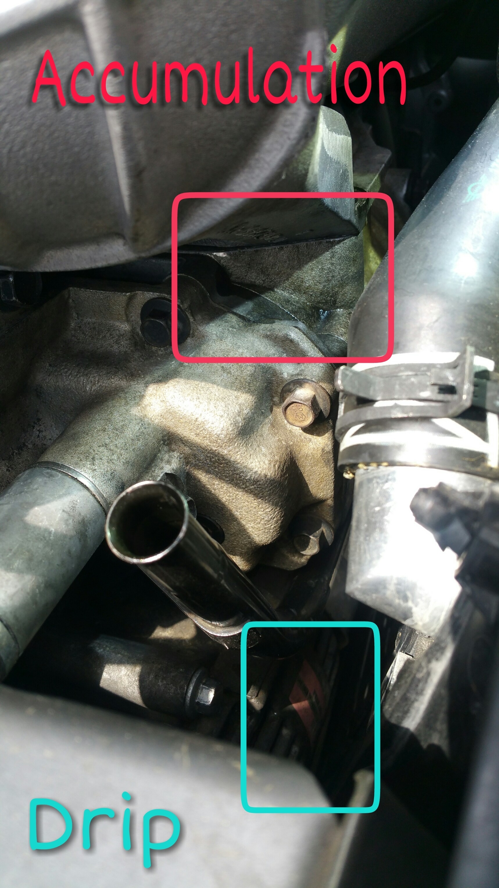 Coolant Leak Accumulation on Supercharger R53 ( Supercharged 6...