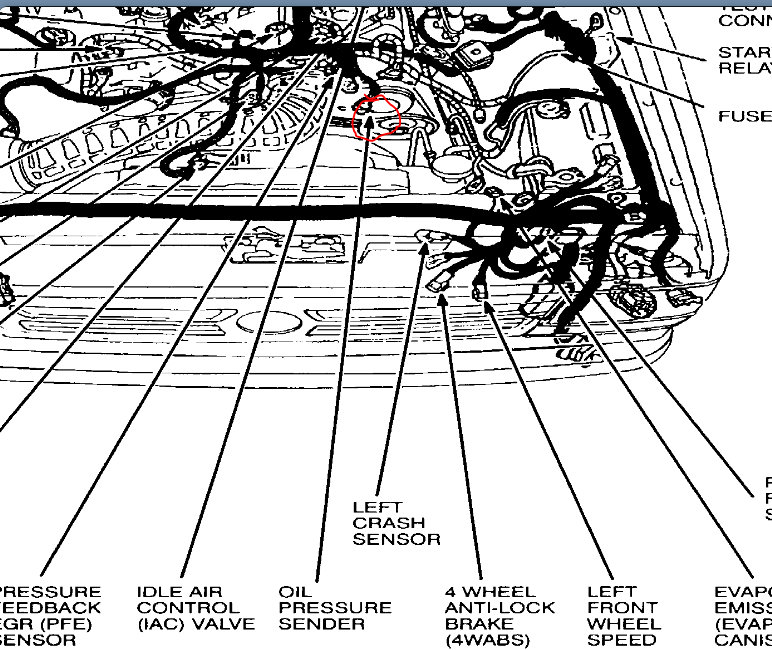Oil Pressure Sending Unit Location Where Is It Located?