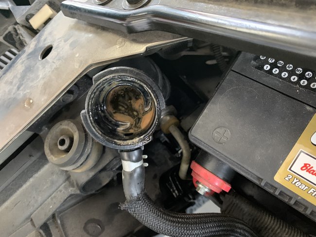 Tranny fluid in coolant