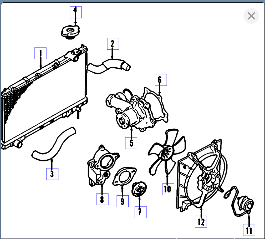 Water Pump? Leaking Coolant When I First Start It Up After