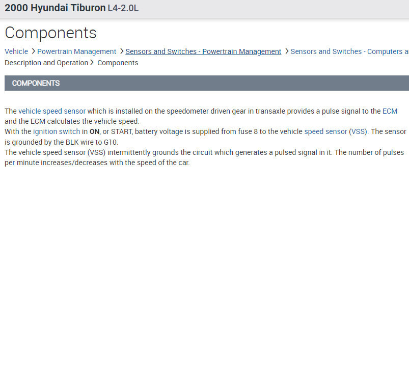 Speedometer Not Working Properly? My Speedo Is on the Frits It