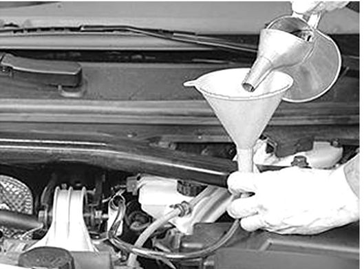 muis of rat kopen bericht Transmission Fluid: How to Check and Add Transmission Fluid to My ...