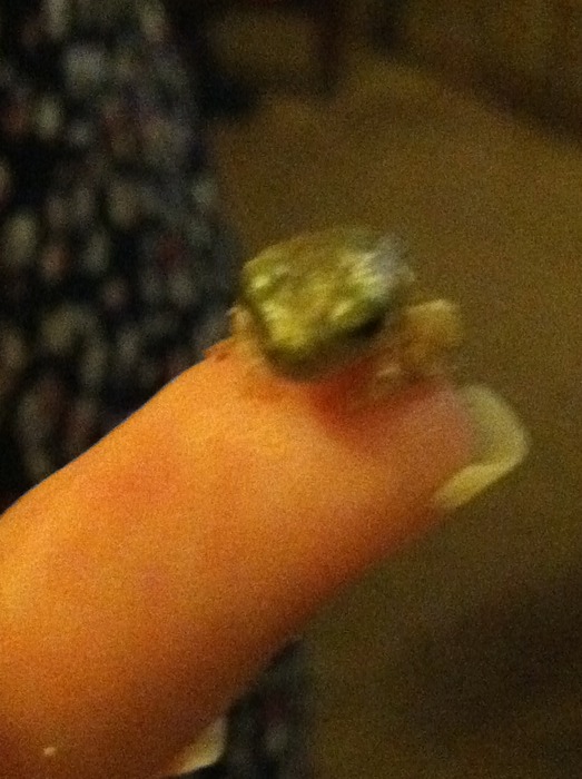 CJ Brake Problem: CJ Medic, I Have a 1980 CJ7 with a Brake Problem...