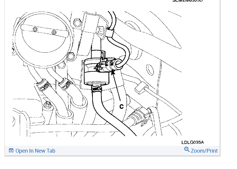 Intake Manifold Butterfly's Surge Air Intake Manifold Plenum