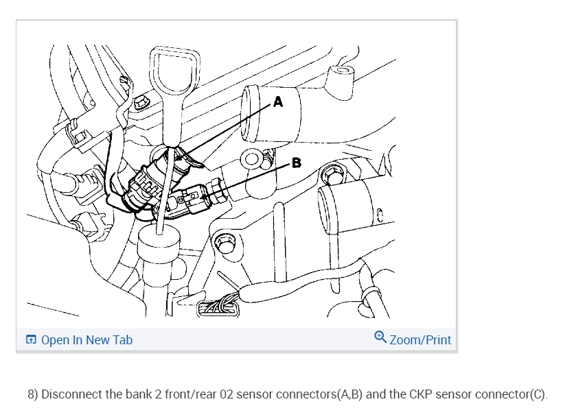 Intake Manifold Butterfly's Surge Air Intake Manifold Plenum