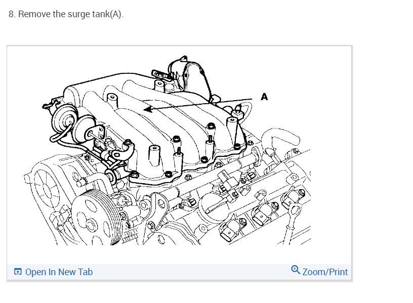 Intake Manifold Butterfly's Surge Air Intake Manifold Plenum