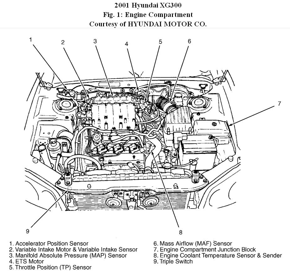 Hyundai Xg300 Fuse Box Diagram