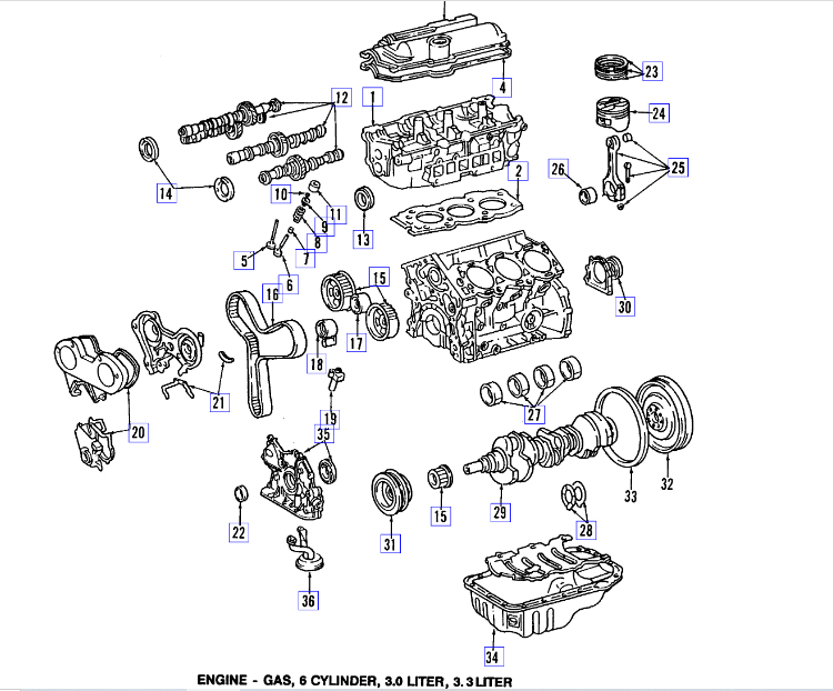 Identify An Oil Leak? I've Got An Oil Leak From the