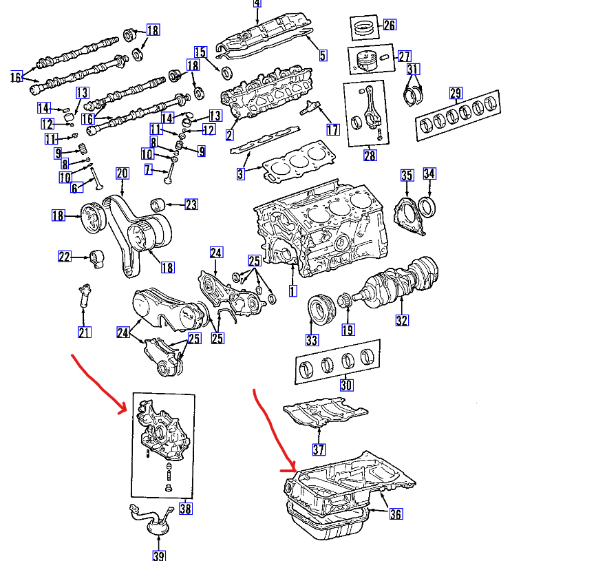 Front Crankshaft Seal Leak? Developed Sever Oil Leak at Front of