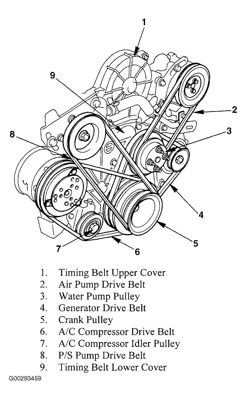 1994 Honda Passport Serpentine Belt Routing And Timing